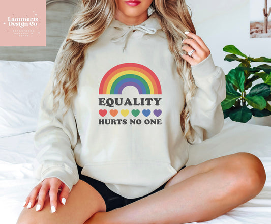 Equality Hurts No One Hoodie