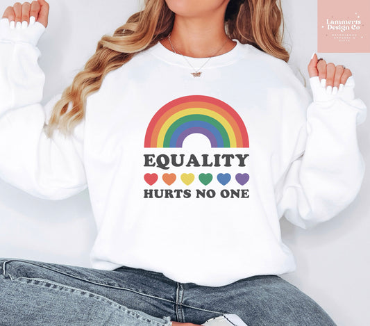 Equality Hurts No On Sweater